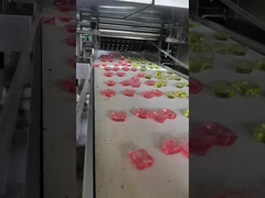 المهنية PLC التحكم في غسيل الغسيل الصانع كفاءة غسول الكبسولة آلة